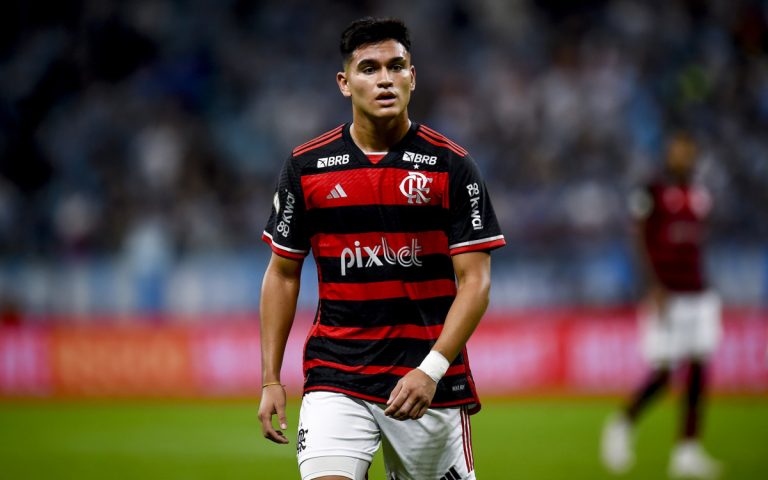 1_gremio_x_flamengo___campeonato_brasileiro___arena_do_gremio___22_09_2024___macelocortes_nws4026-34081147